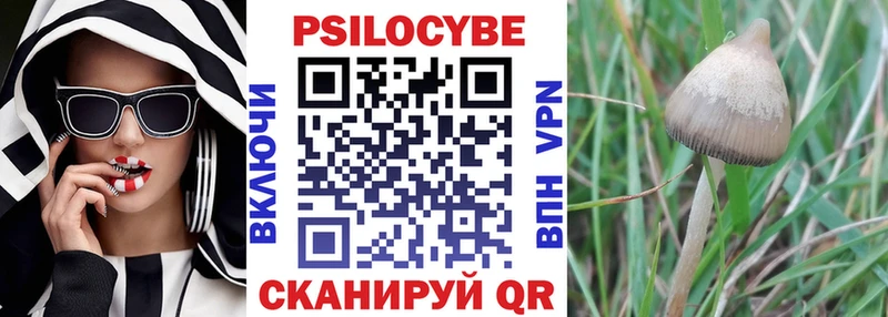 купить   Чебоксары  Галлюциногенные грибы ЛСД 